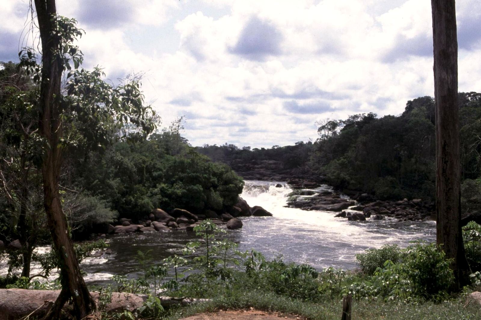 Rapids on the Corantijn River near Wonotobo.