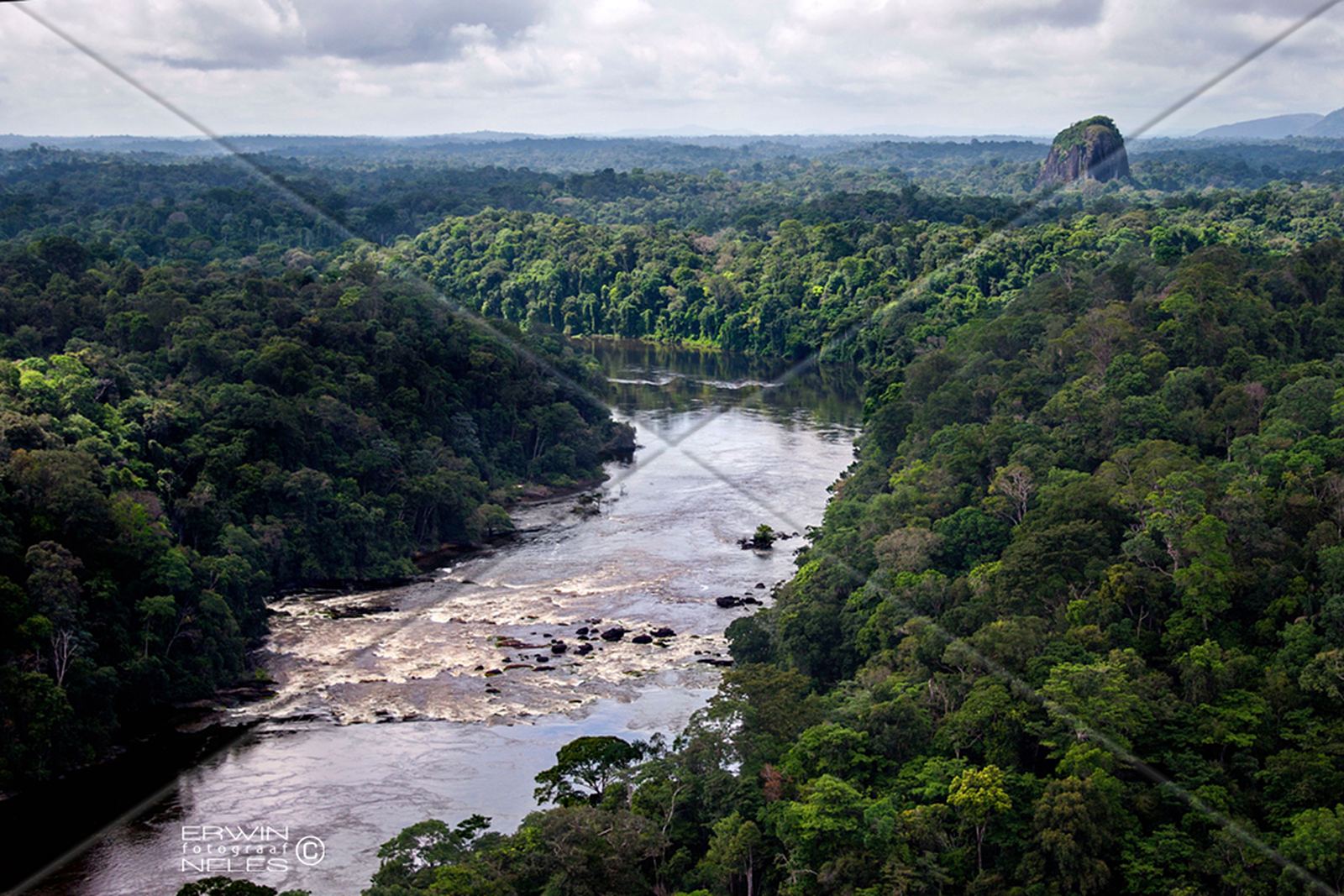 Rainforest and river systems of the Sipaliwini District.